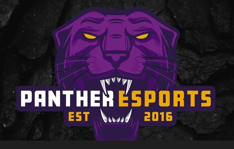 Panther Esports – University of Northern Iowa, Cedar Falls, IA, USA